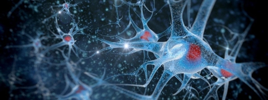 La catástrofe de la física que benefició a la biología