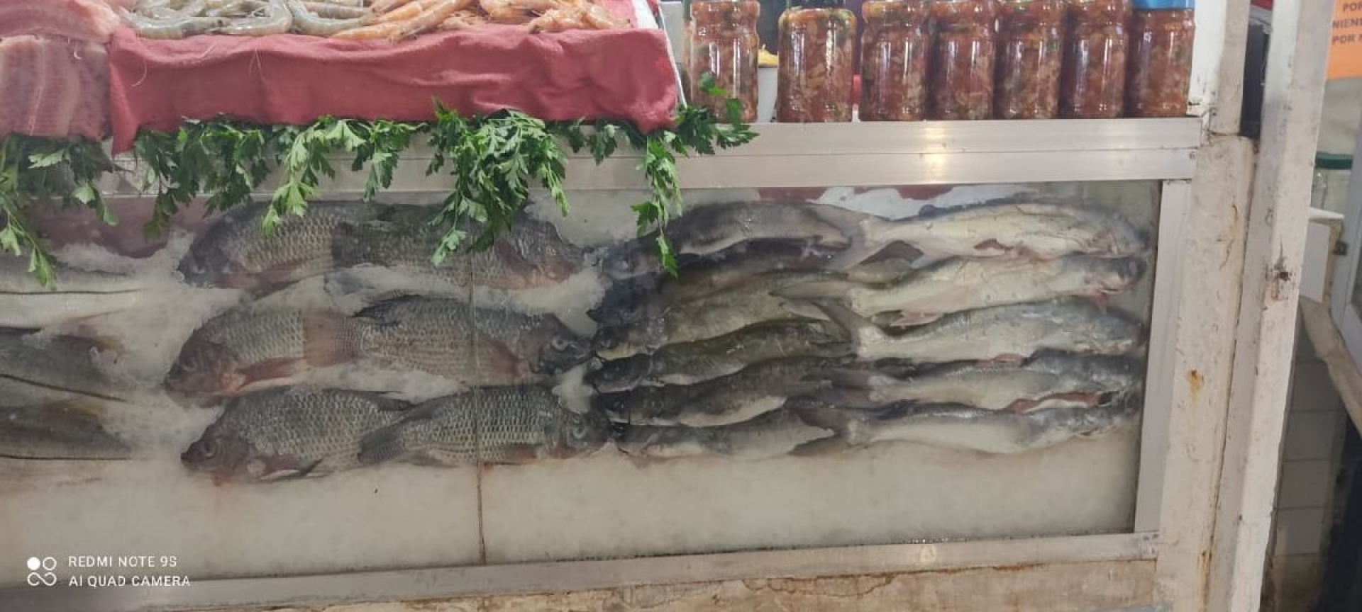 Lamentan comerciantes elevados precios de mariscos