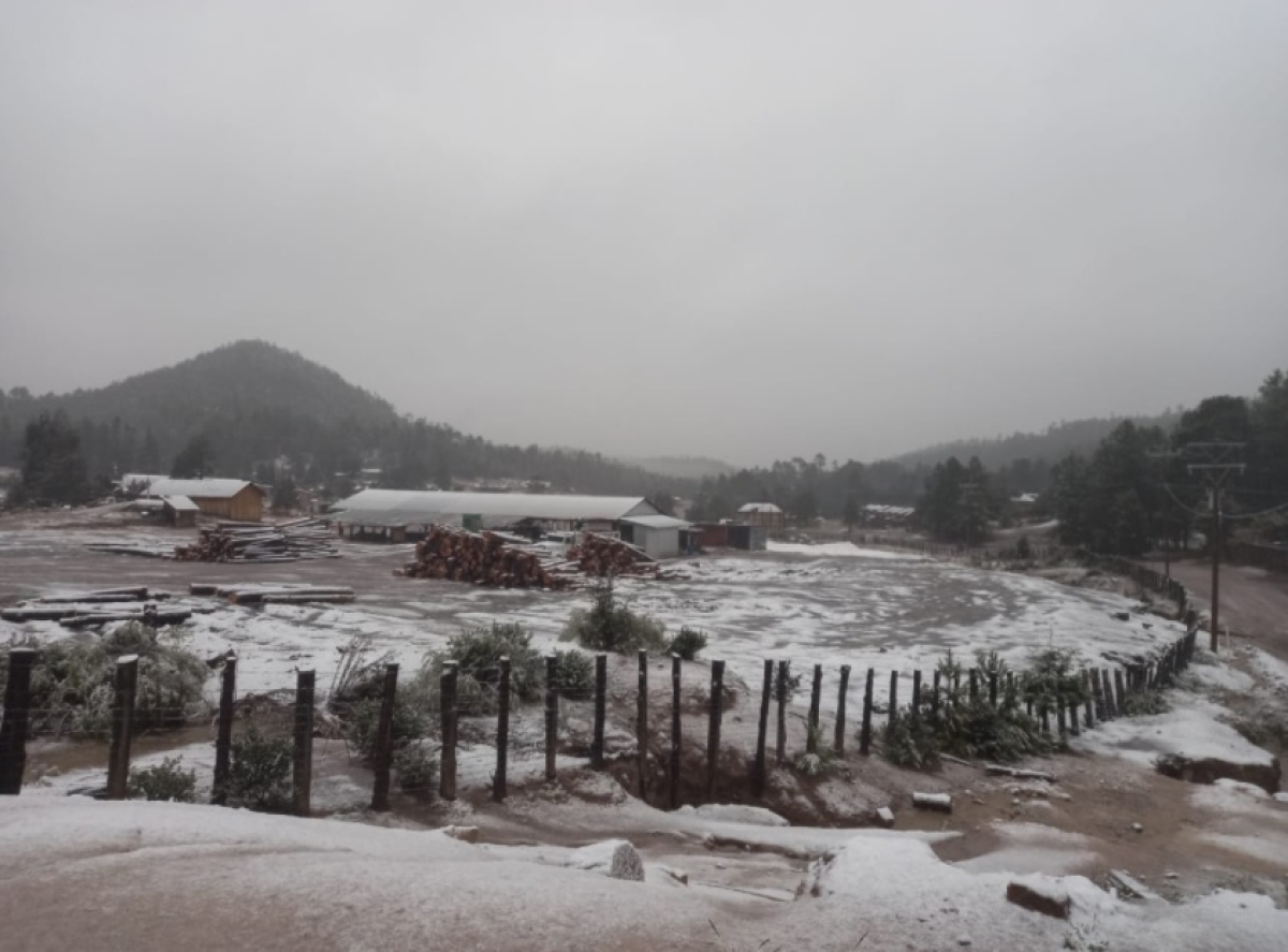 'El Niño' se prolongará hasta el invierno: ¿Cómo afectará a México?