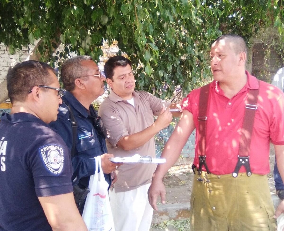 Atacan abejas a 12 personas en Cuautla