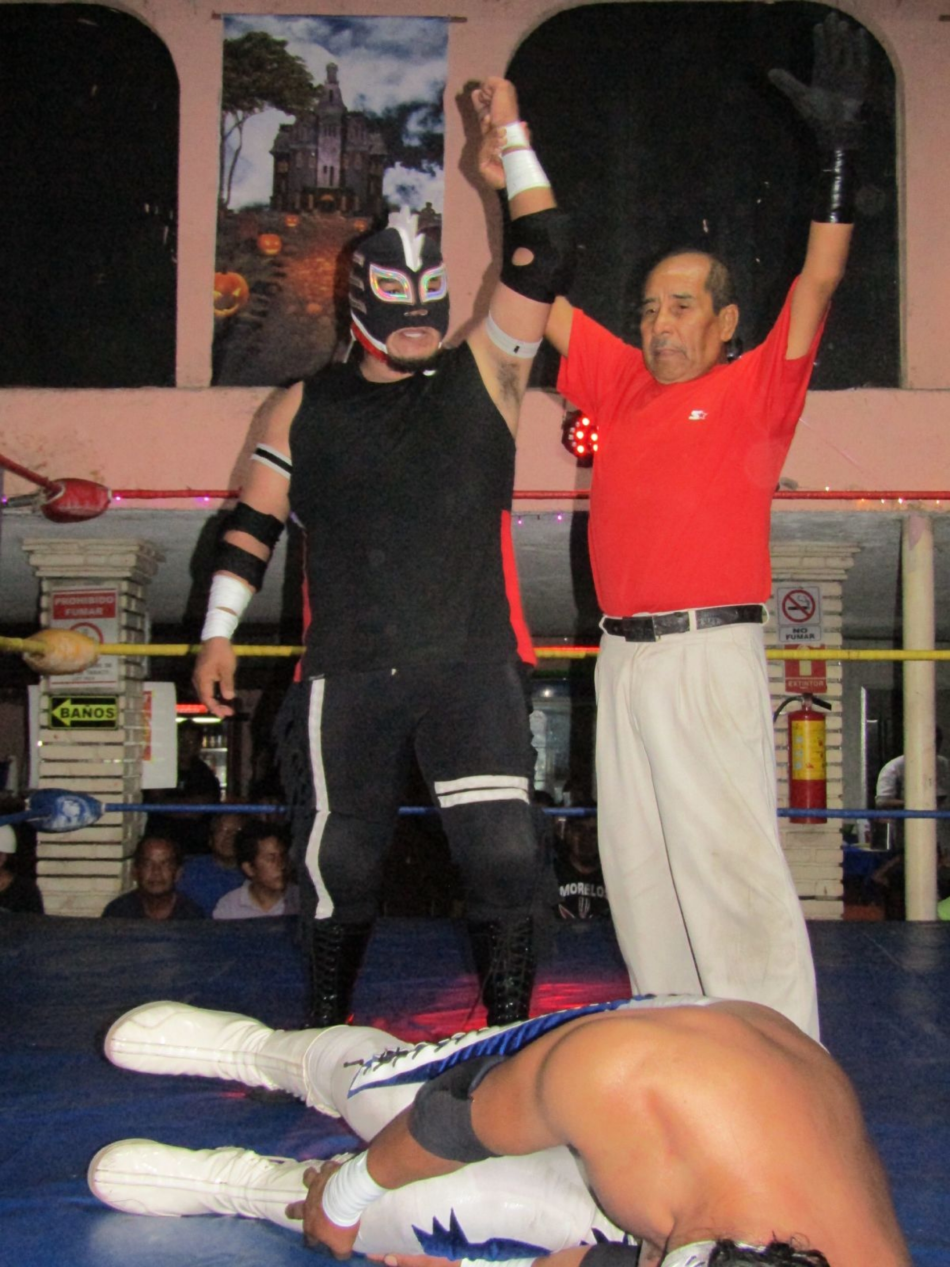 Drako, campeón del Torneo Cibernético de la ANLL