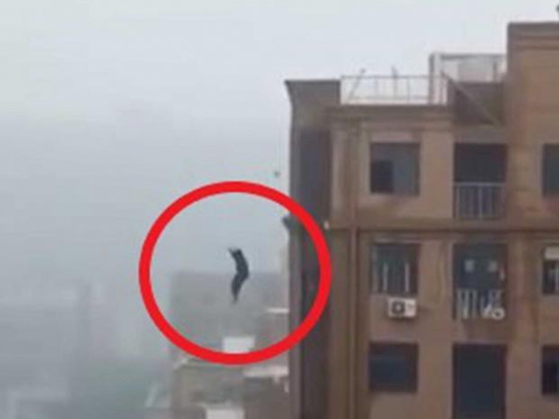 VIDEO: ¿Intentaba la mejor selfie?