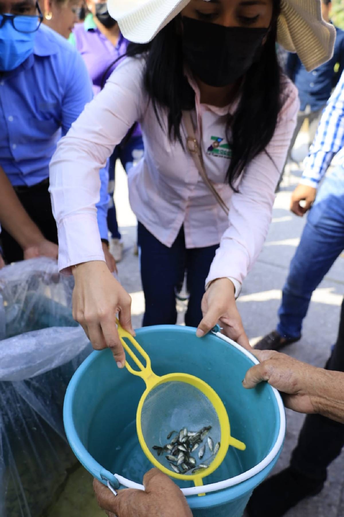 Reparten mojarras para controlar el dengue en Zacatepec