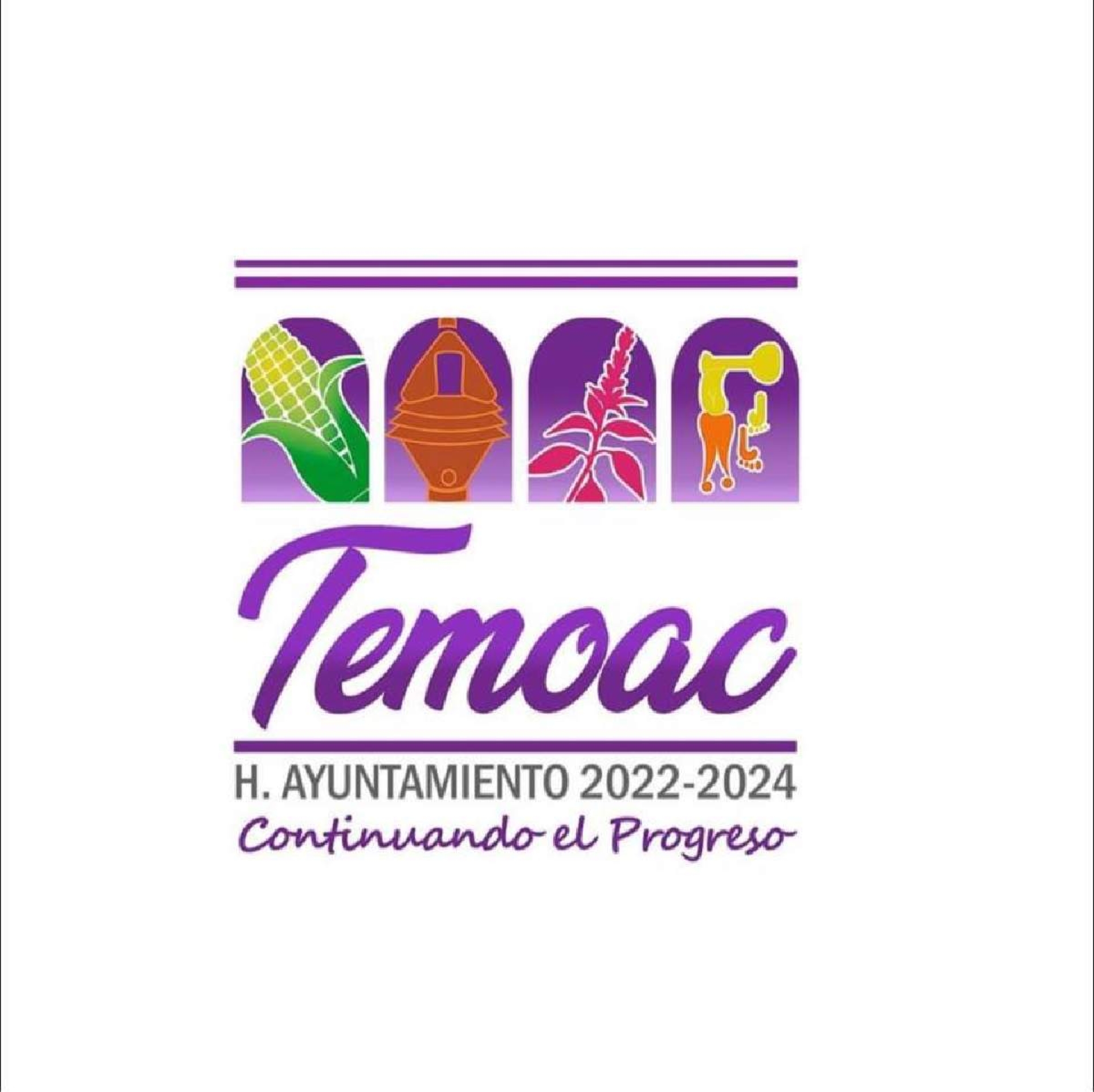 Cabildo de Temoac se ampara