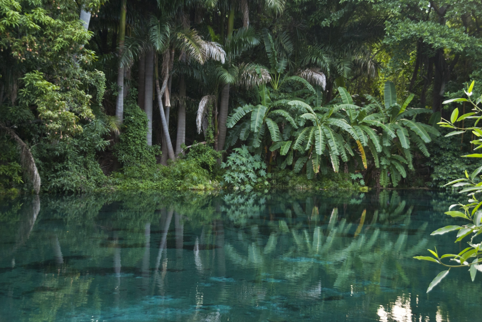 La joya verde turquesa de Morelos