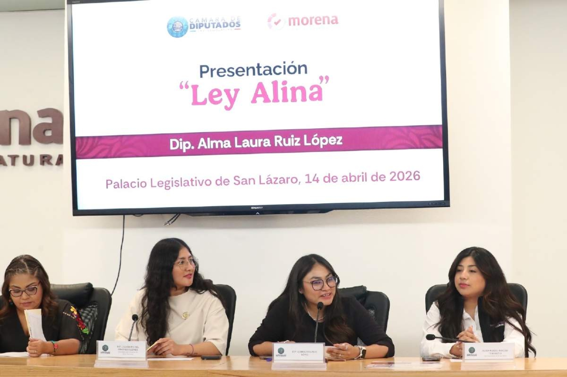 Analizan diputados la 'Ley Alina'