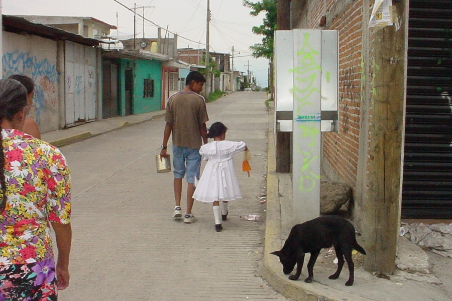 Promueven campaña para no regalar mascotas en esta temporada