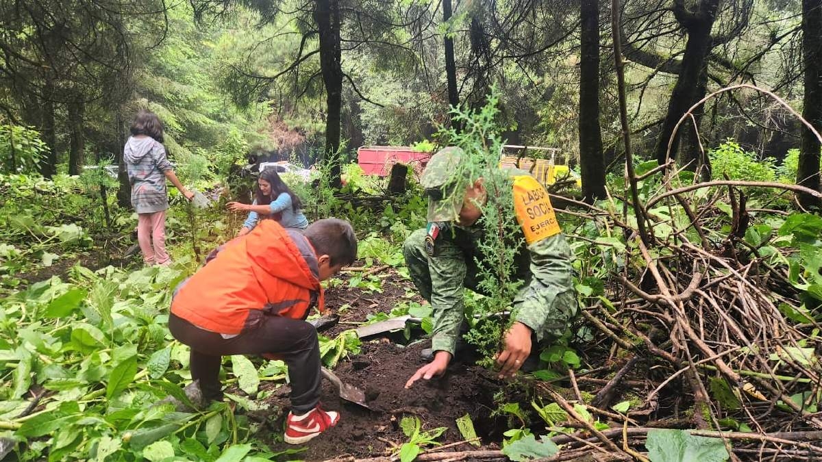 Inicia Sedena jornadas de reforestación en Hueyapan