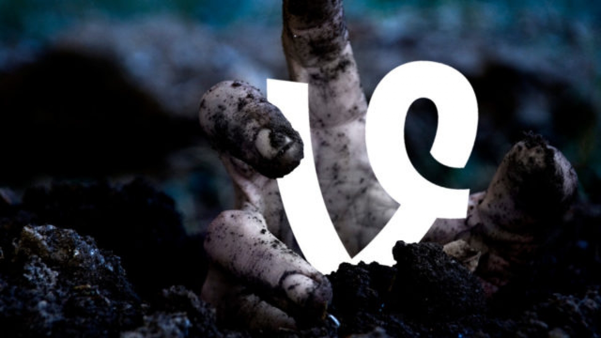 Vine no está muerto, ahora se transformará en Vine Camera