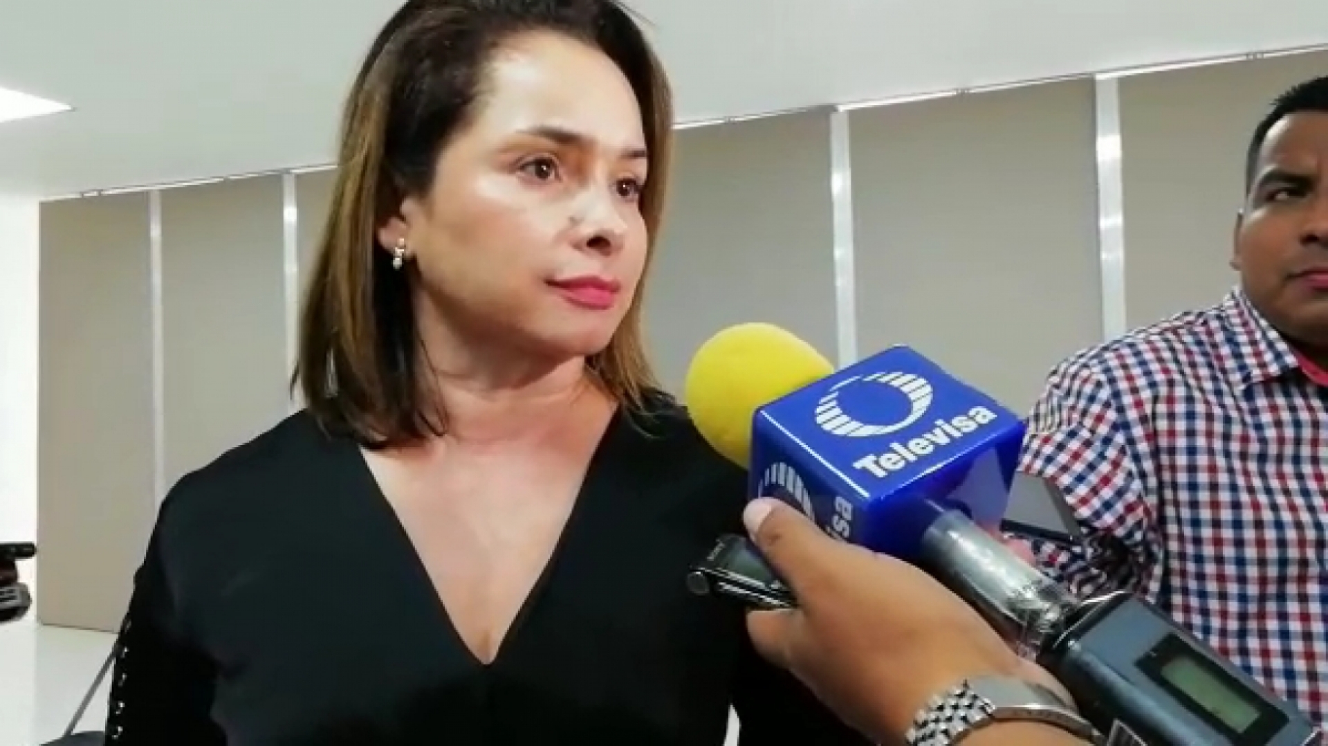 Desechan amparo promovido por la diputada Naida Díaz Roca