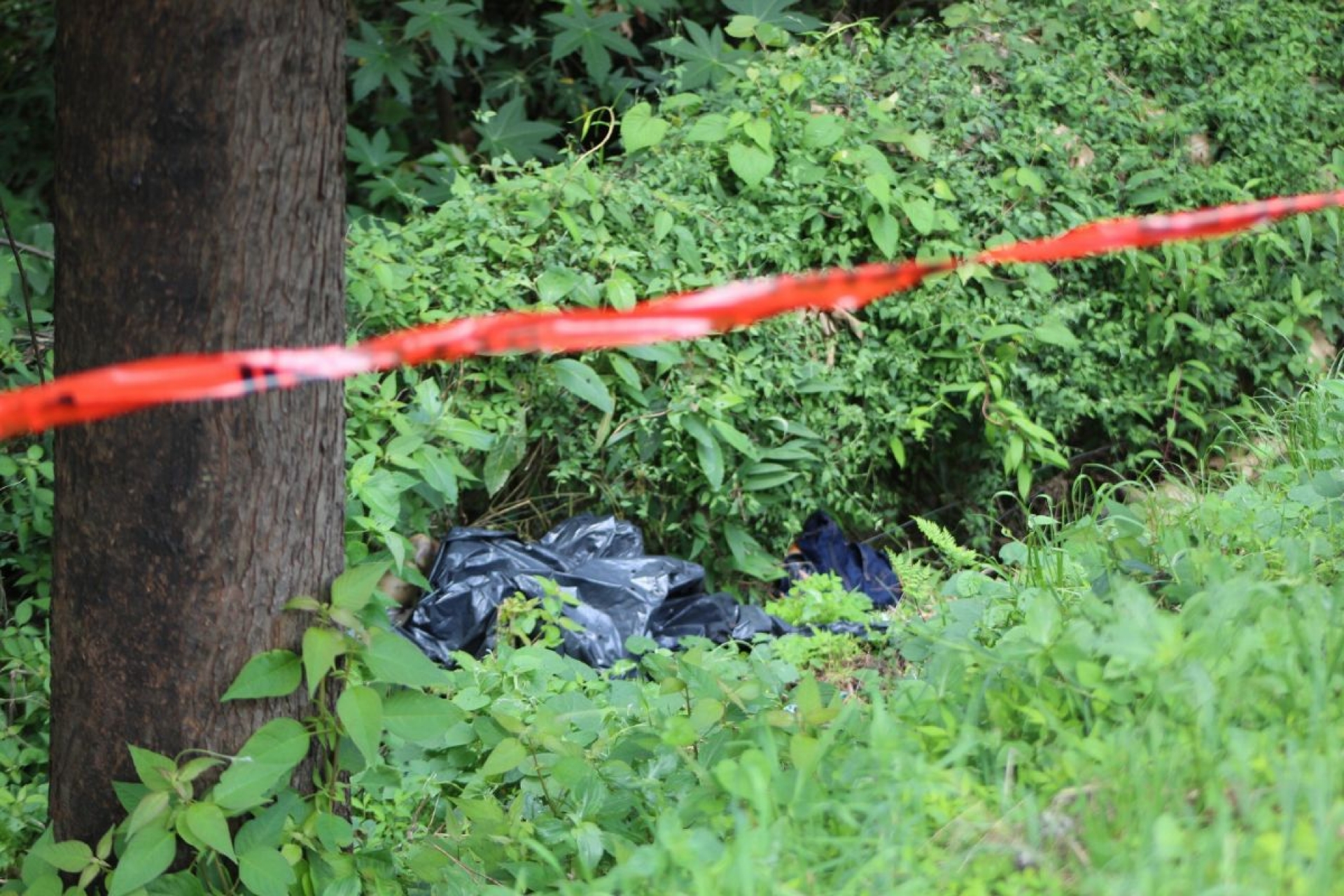 Hallan un cadáver a orillas de la México-Acapulco