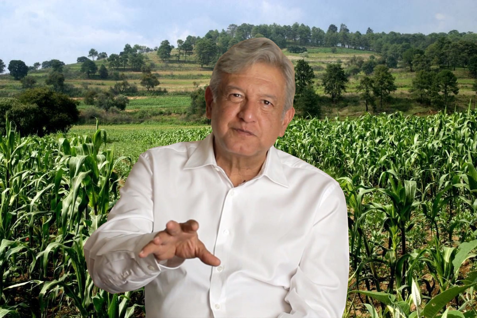 Puedes ganar 18 mil pesos al mes, ayudando a AMLO a rescatar el campo de México