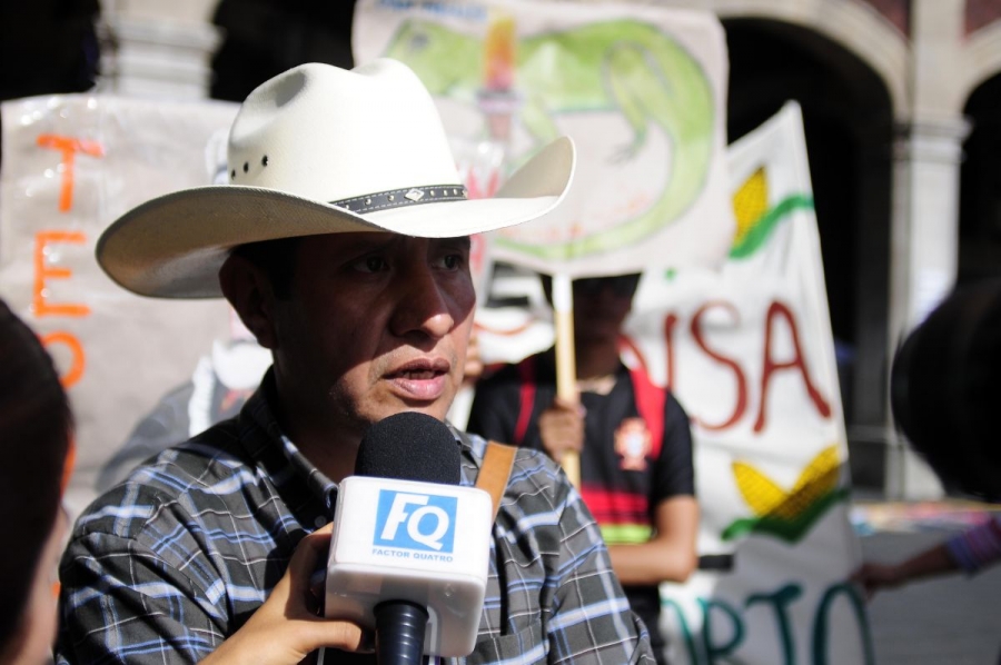 Piden pobladores explicación por tala de árboles en Tepoztlán