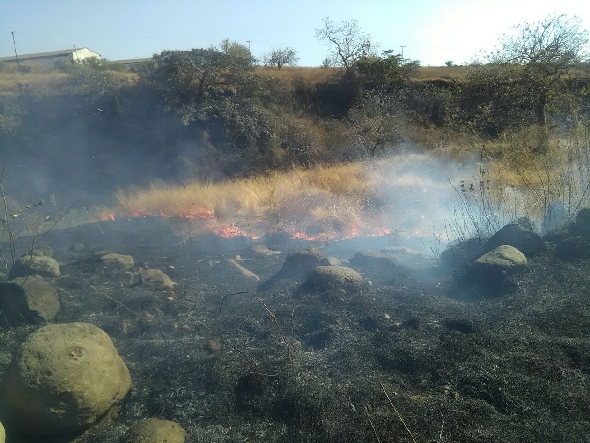 Proliferan los incendios de pastizales por negligencia de personas