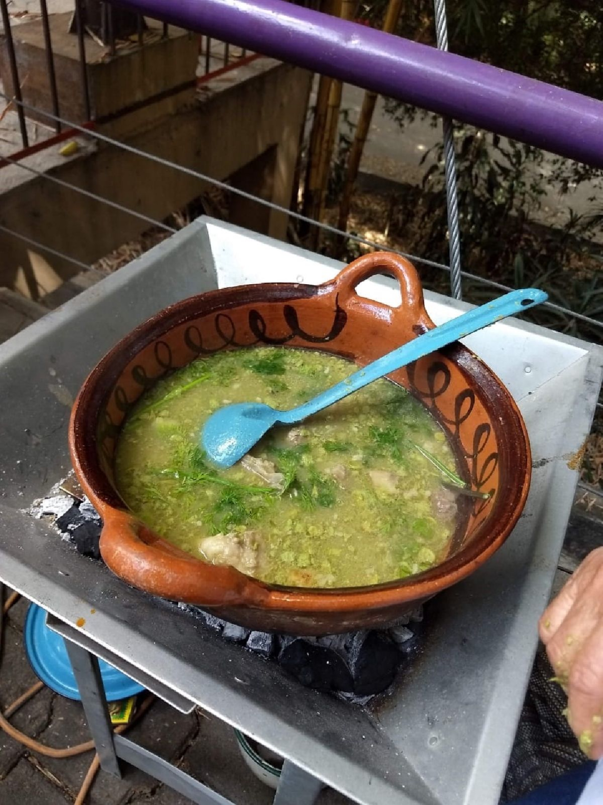 El Huaxmole, Guaxmole o Salsa de Guajes
