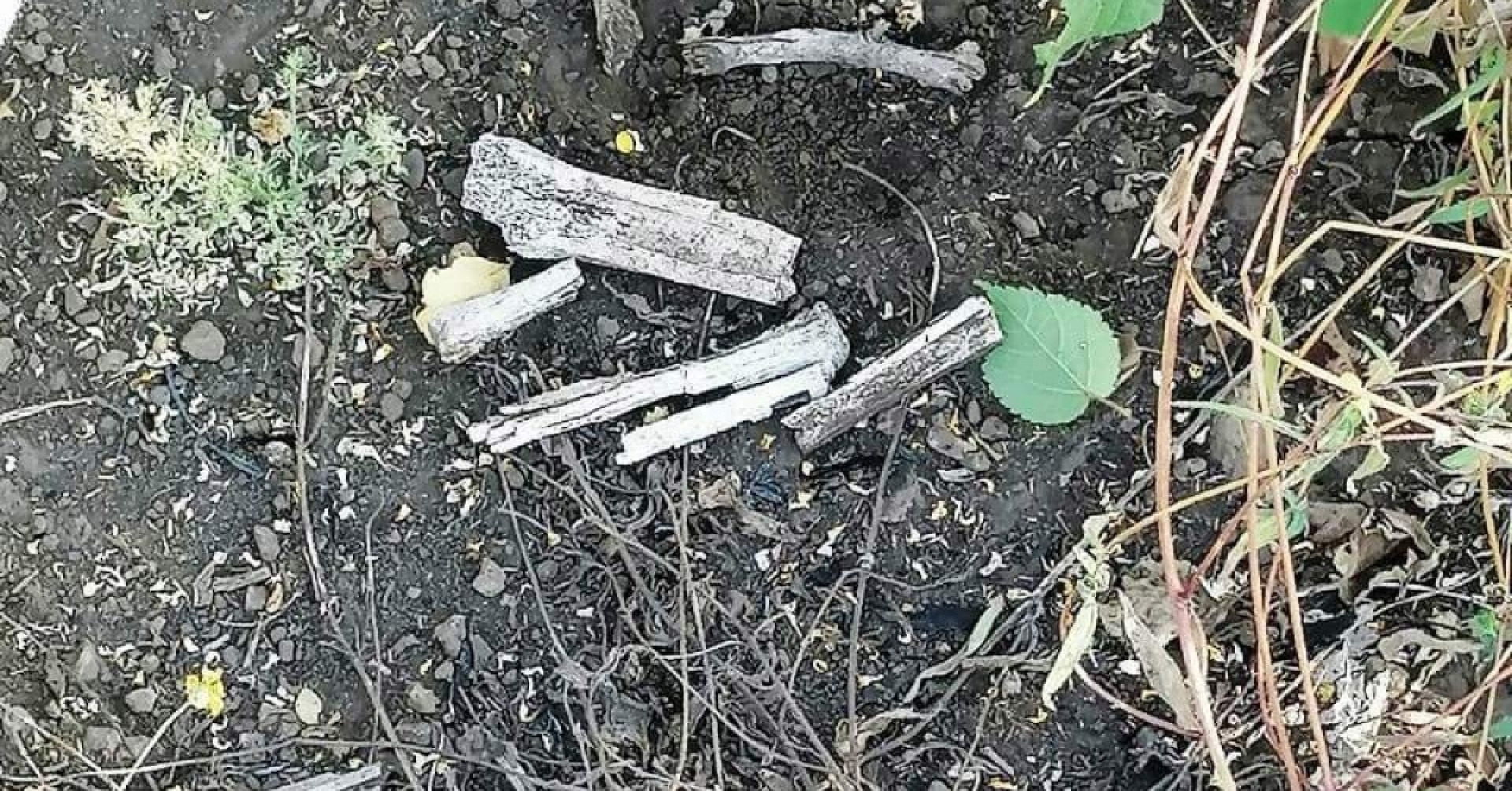 Encuentran restos óseos en una casa