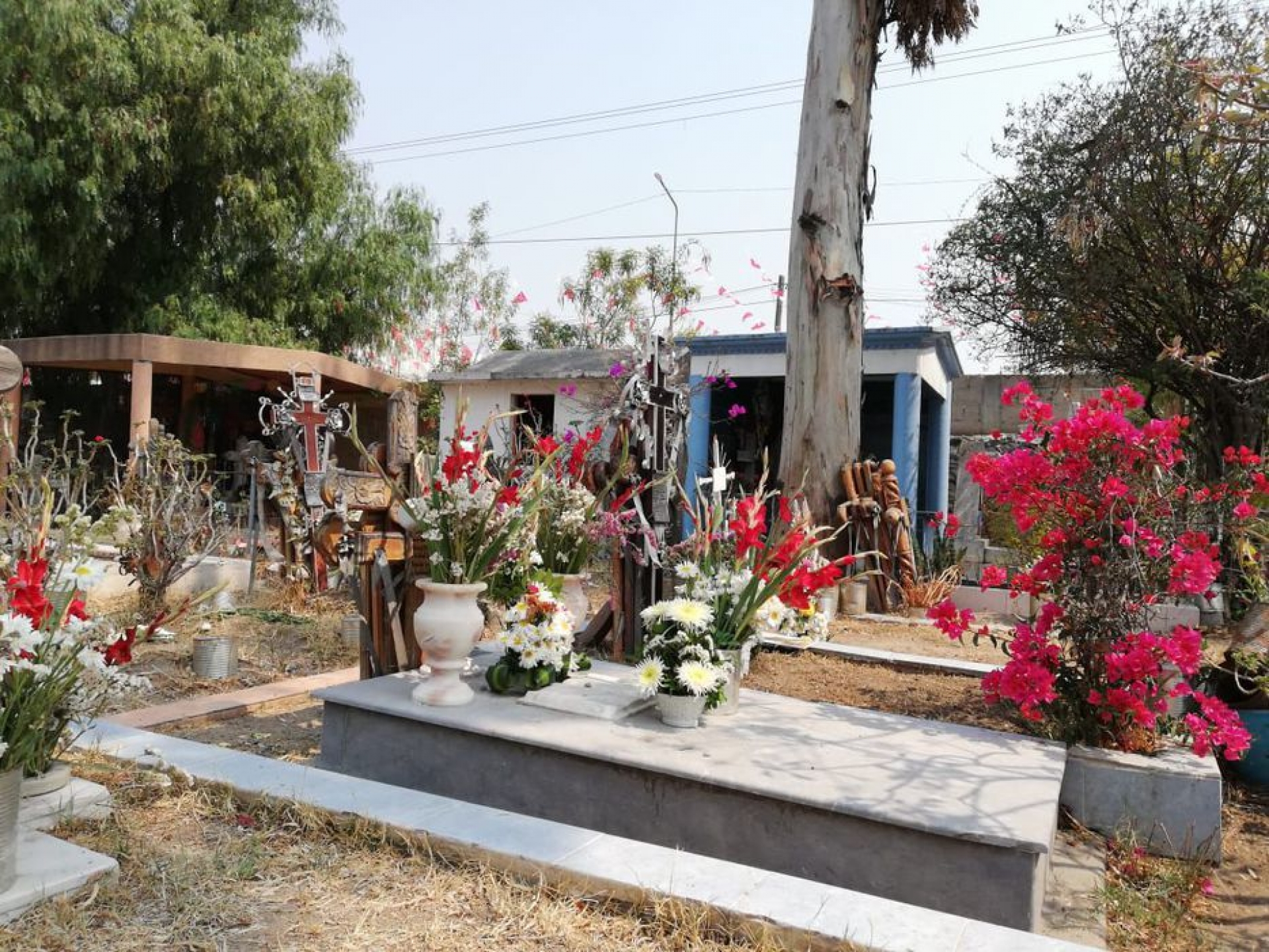 Cerrarán panteones de Coatlán del Río