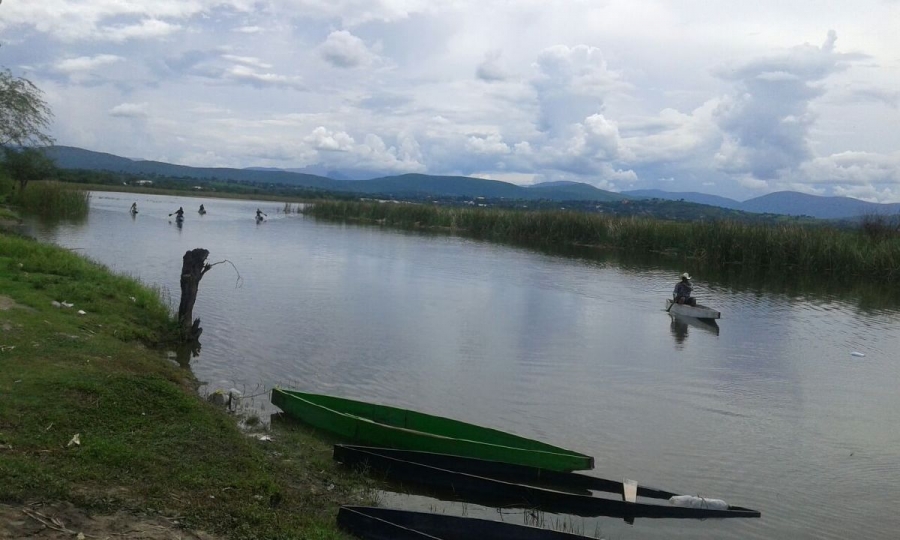 Sin atención, descarga de aguas negras en la laguna de Coatetelco