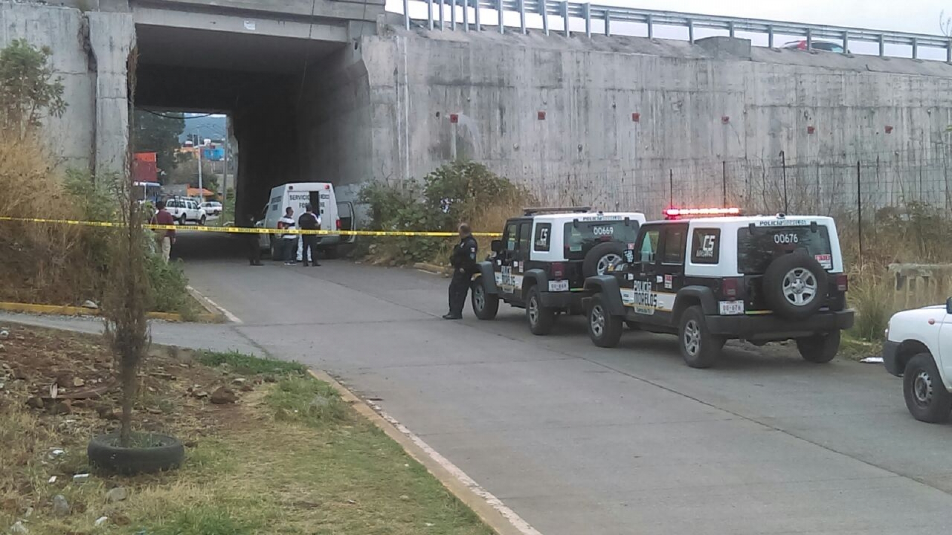 Asesinado a golpes con una piedra