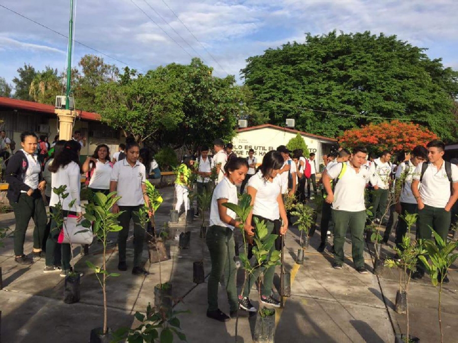 Estudiantes del Cobaem de Amacuzac realizan campaña de reforestación