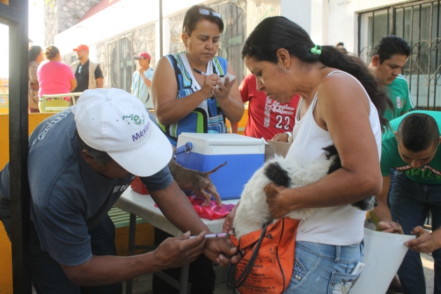 Vacunan a más de 20 mil mascotas contra la rabia en Yautepec