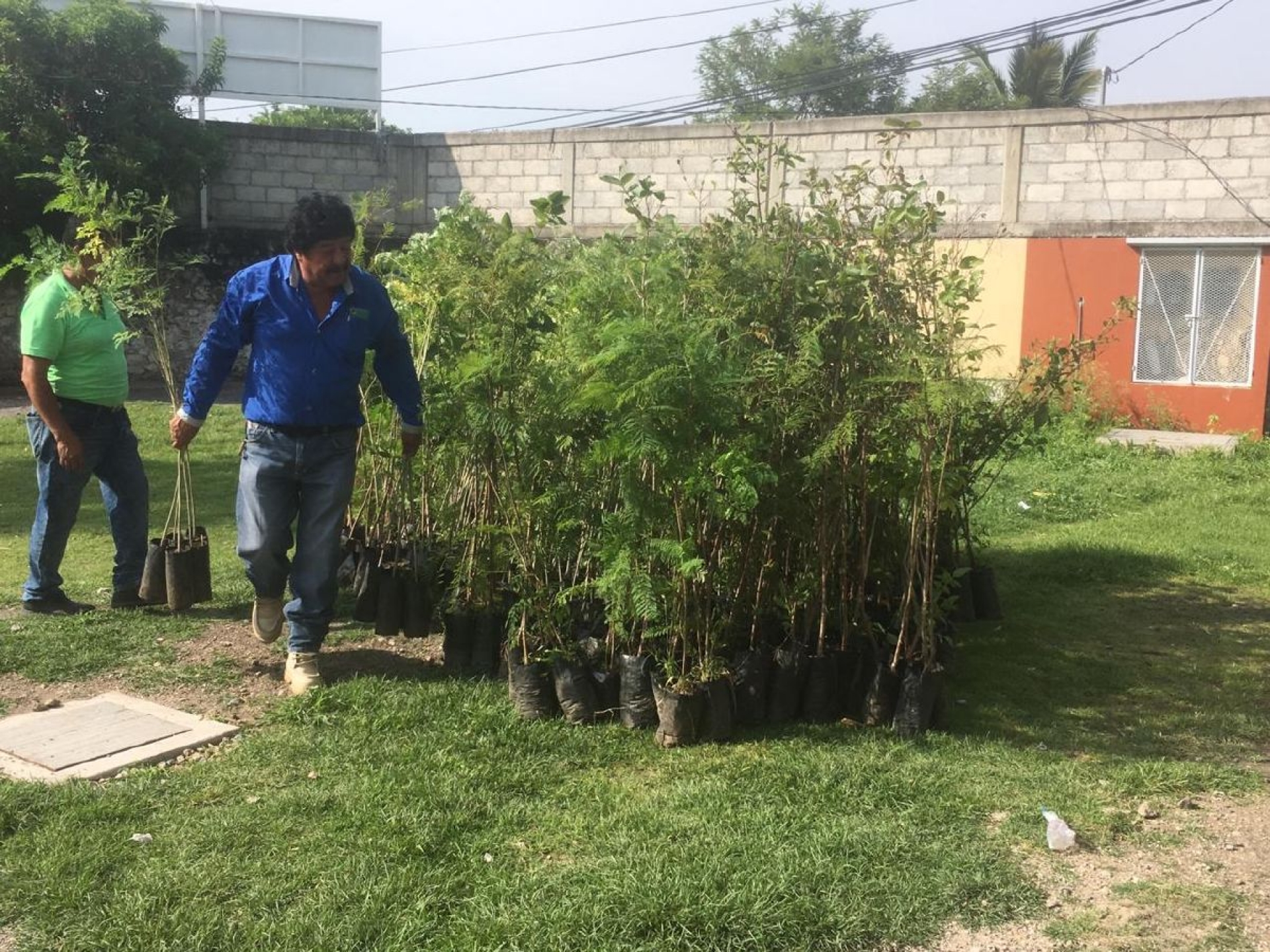 Reforestarán zonas de dos cerros en Xoxocotla