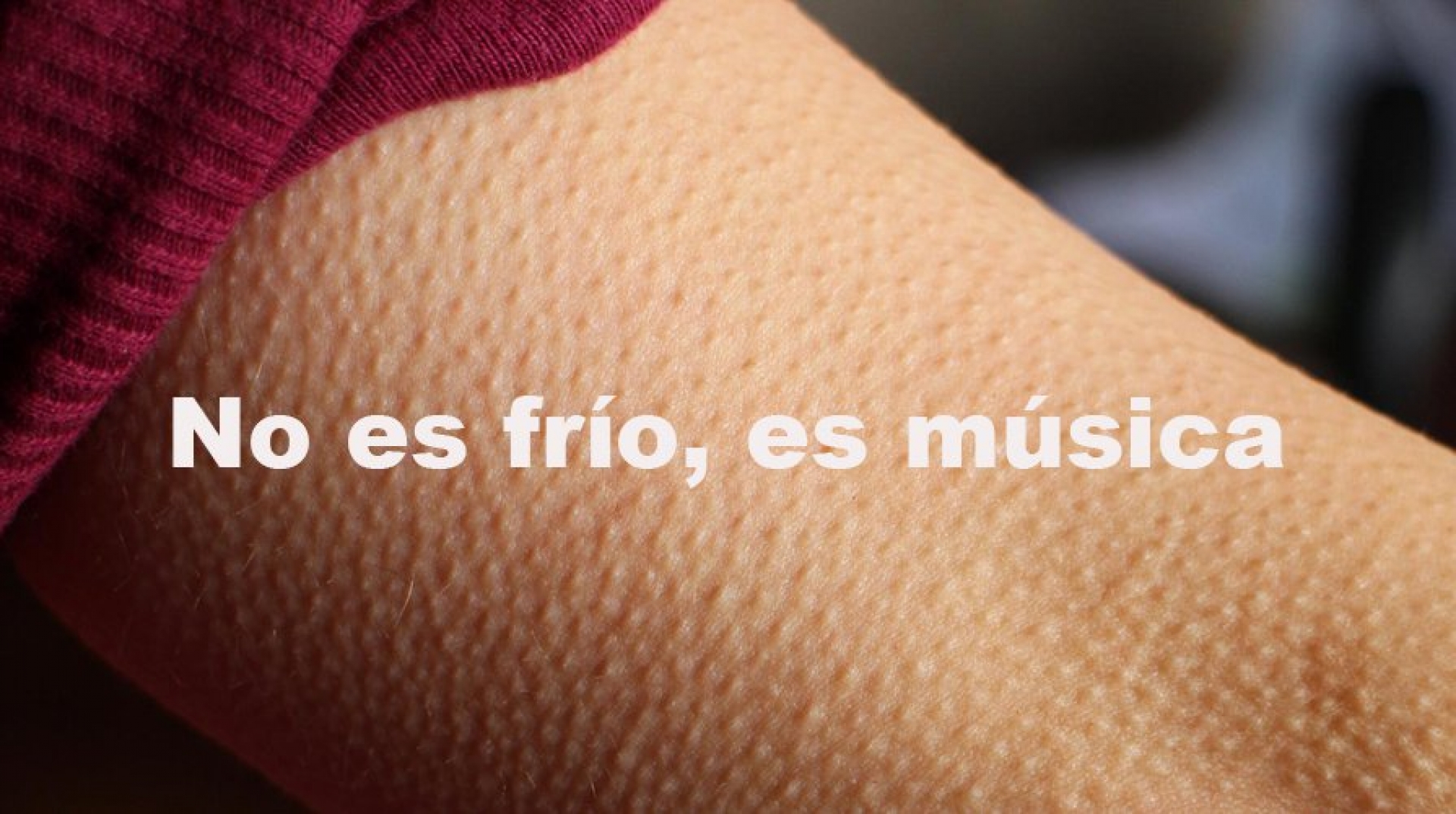Si la música te da escalofríos, tienes un cerebro especial