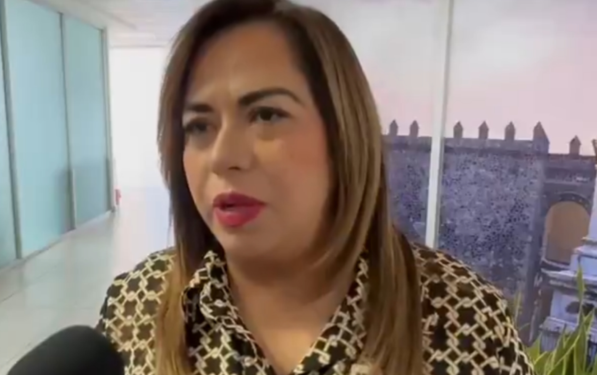 Exige dirigencia estatal del PT frenar violencia política de género en Xoxocotla
