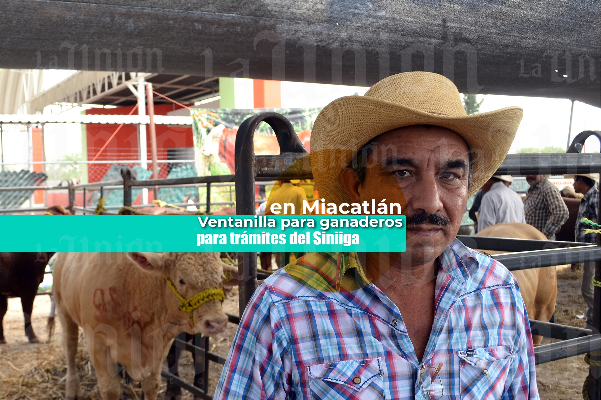 Opera en Miacatlán ventanilla de atención a ganaderos