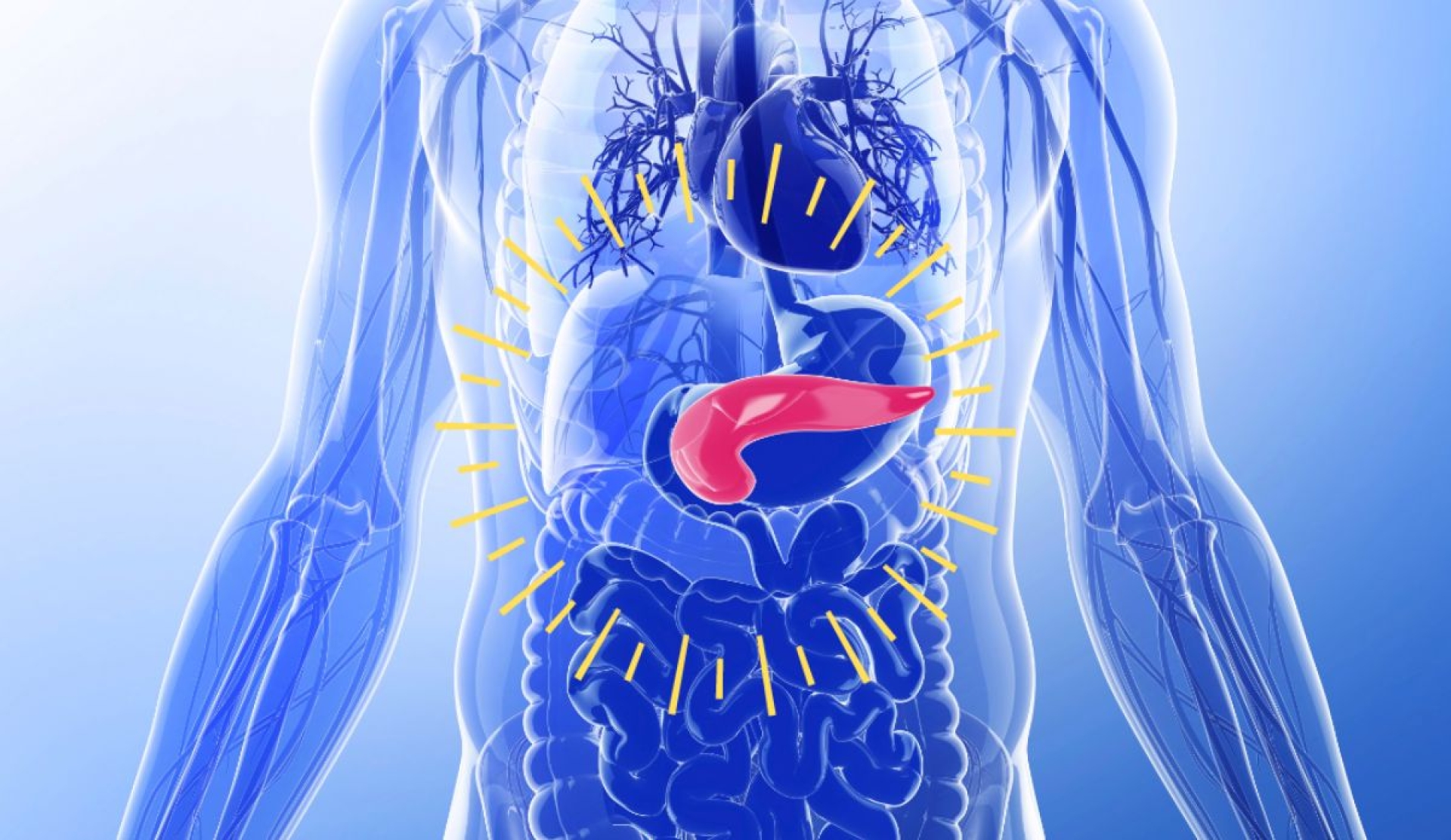 Cómo identificar y prevenir la insuficiencia pancreática