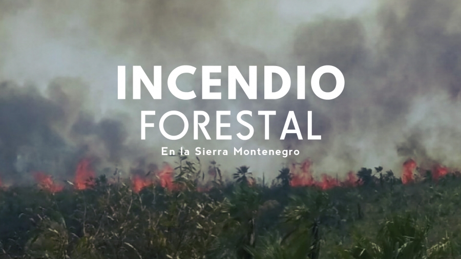 Continúa el incendio forestal en la Sierra Montenegro