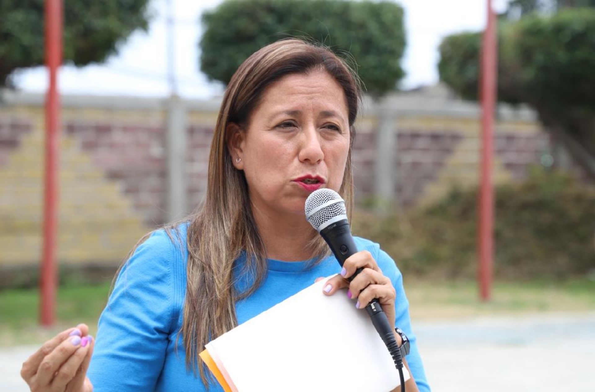 Pide Alejandra Flores se declare Alerta de Violencia de Género en todo el estado
