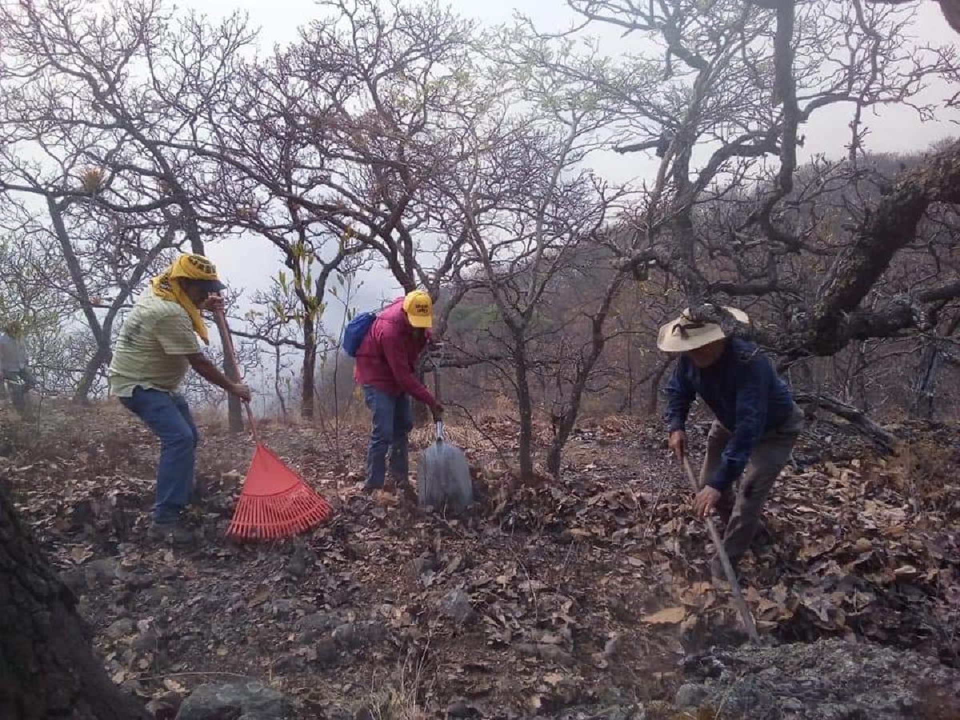 Controlado, el incendio en cerro de Miacatlán