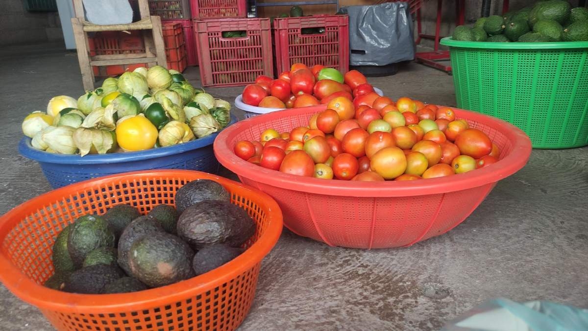 Aguacateros, beneficiados con los aumentos de precios