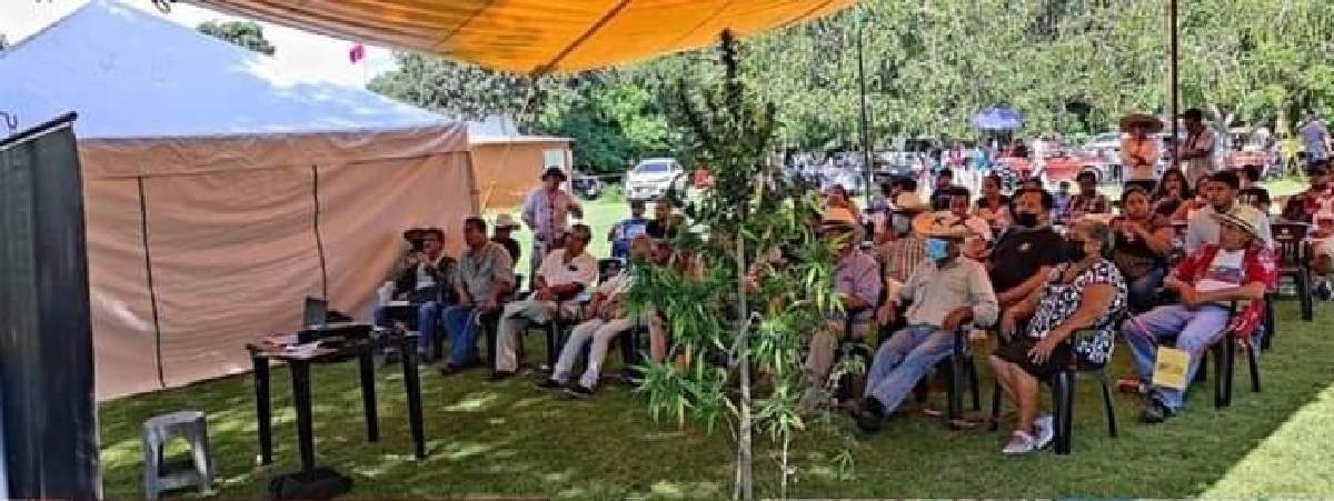 Listo, el segundo “Tetefest Cannabico” en Tetecala