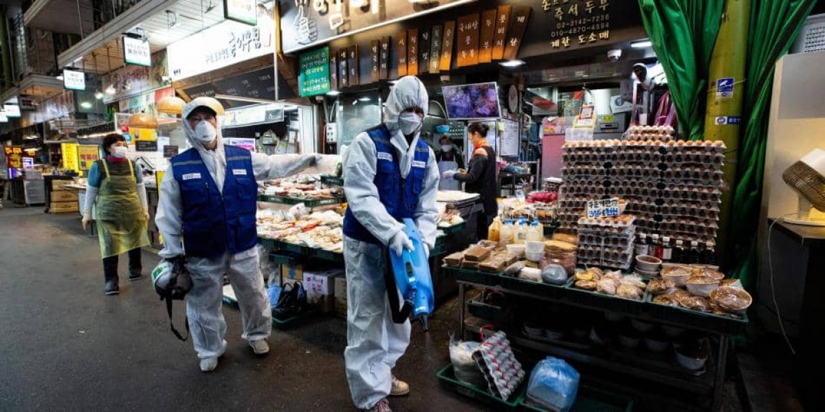 OMS pide suspender la venta de animales salvajes en mercados