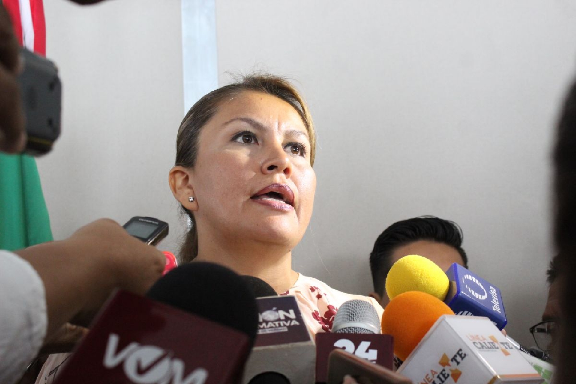 Hortencia Figueroa, a proceso por peculado