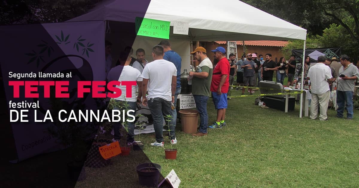 Anuncian segunda llamada para el “Tete Fest” de la cannabis