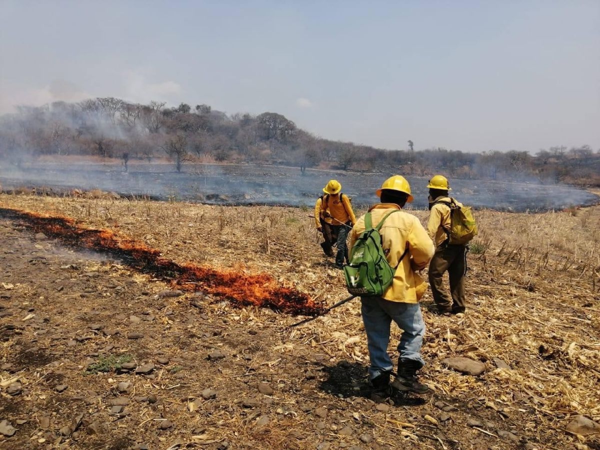 Planean estrategias para evitar quemas agrícolas en Morelos