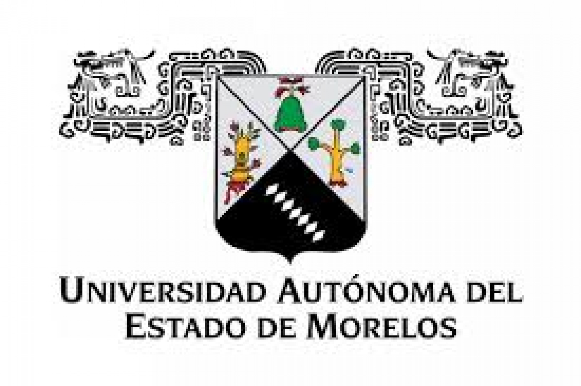 Analizan en un libro impacto de la beca salario