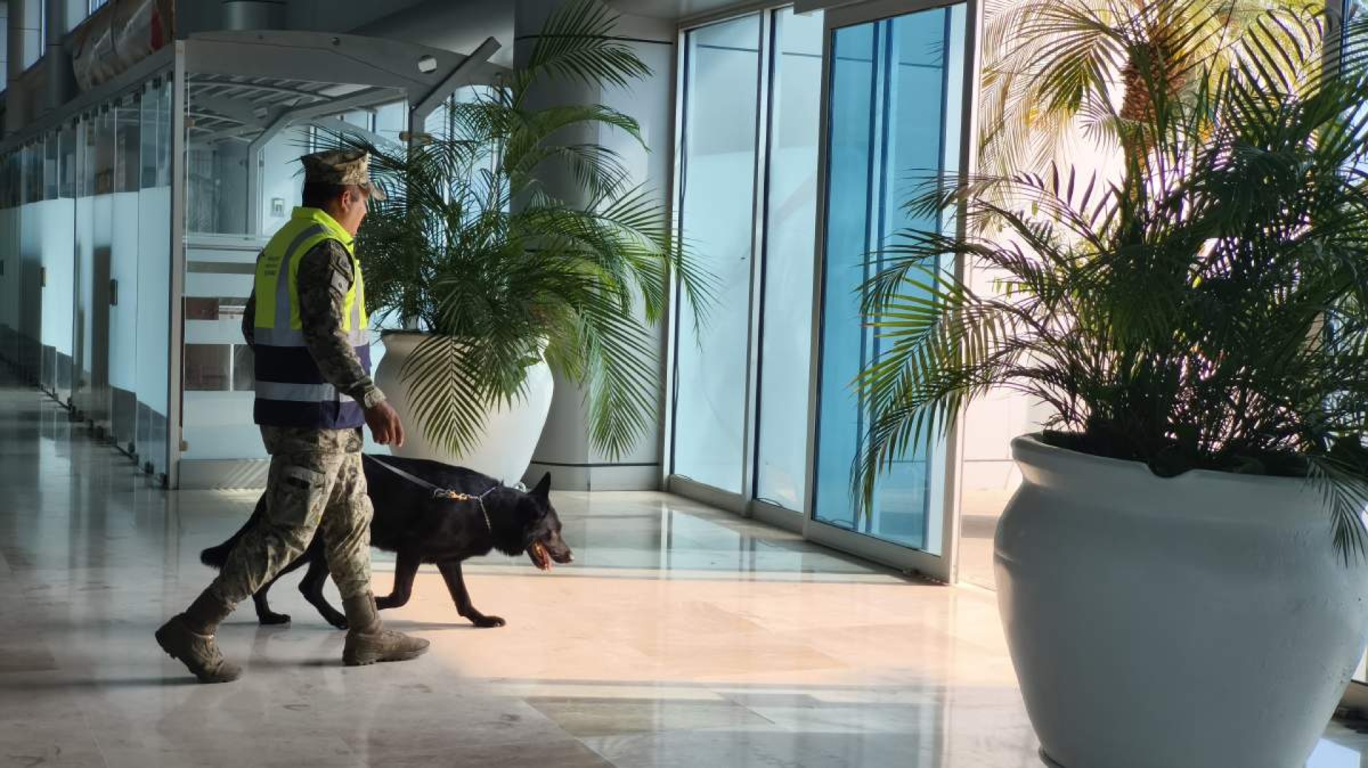 Tiene Morelos retos económicos y de seguridad en 2026: Coparmex