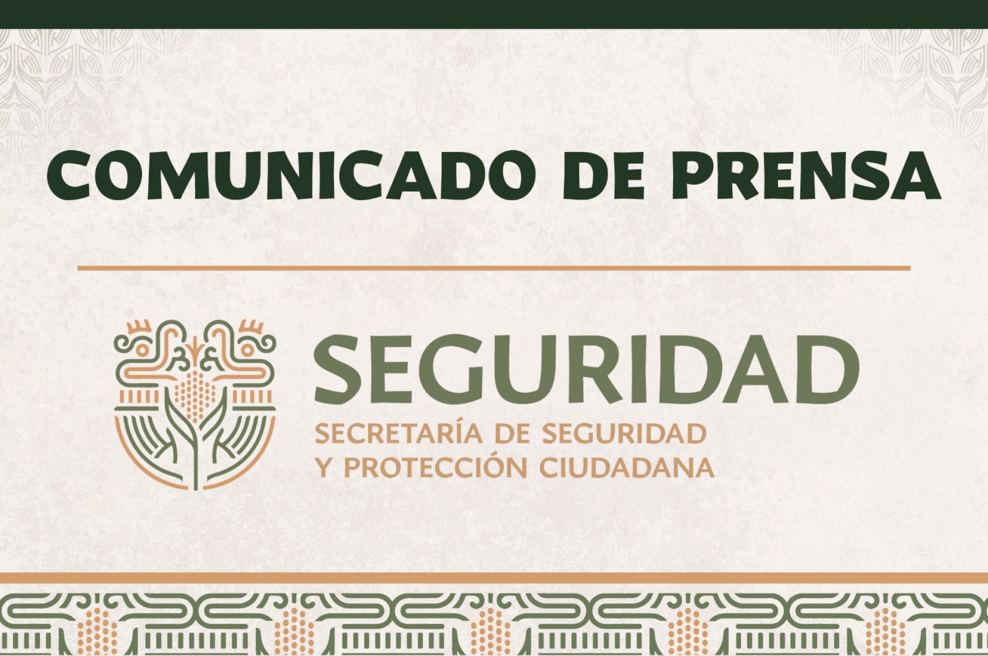 Rechaza SSPC uso excesivo de la fuerza por parte del personal policial en cualquier detención