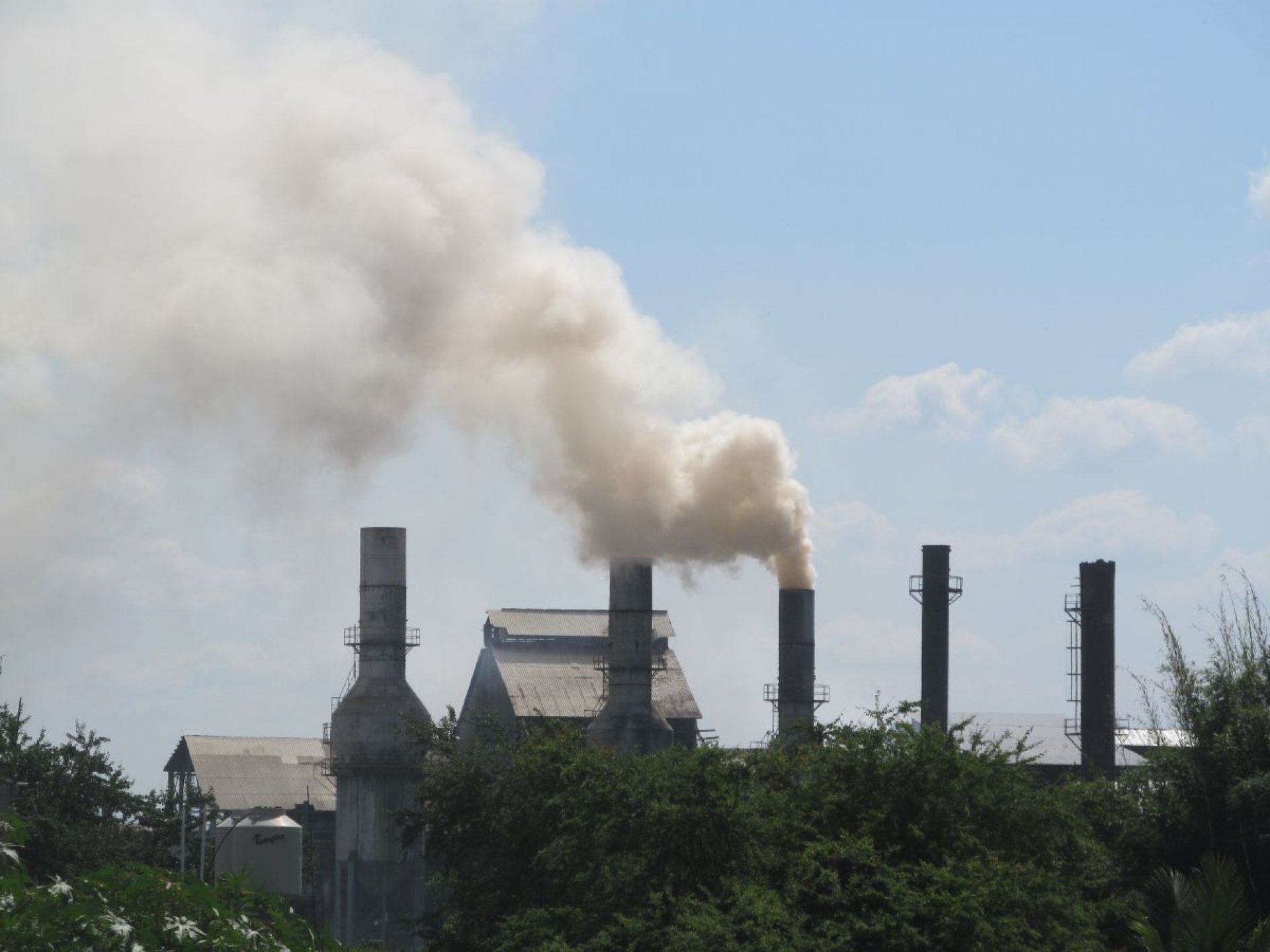 Hoy inicia zafra en el ingenio EZ de Zacatepec