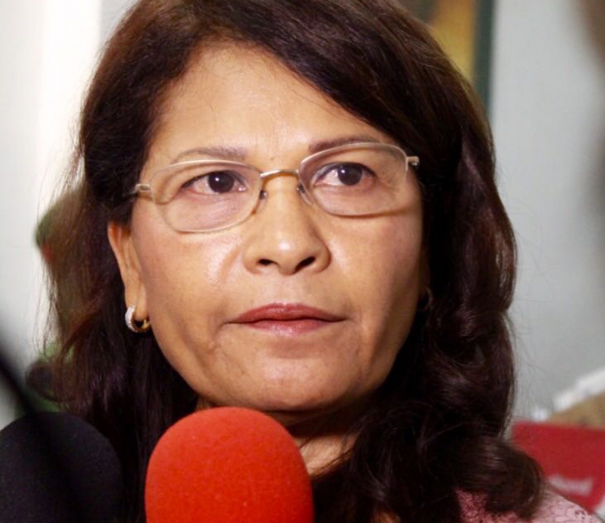 Problema de seguridad es de todo el país: diputada