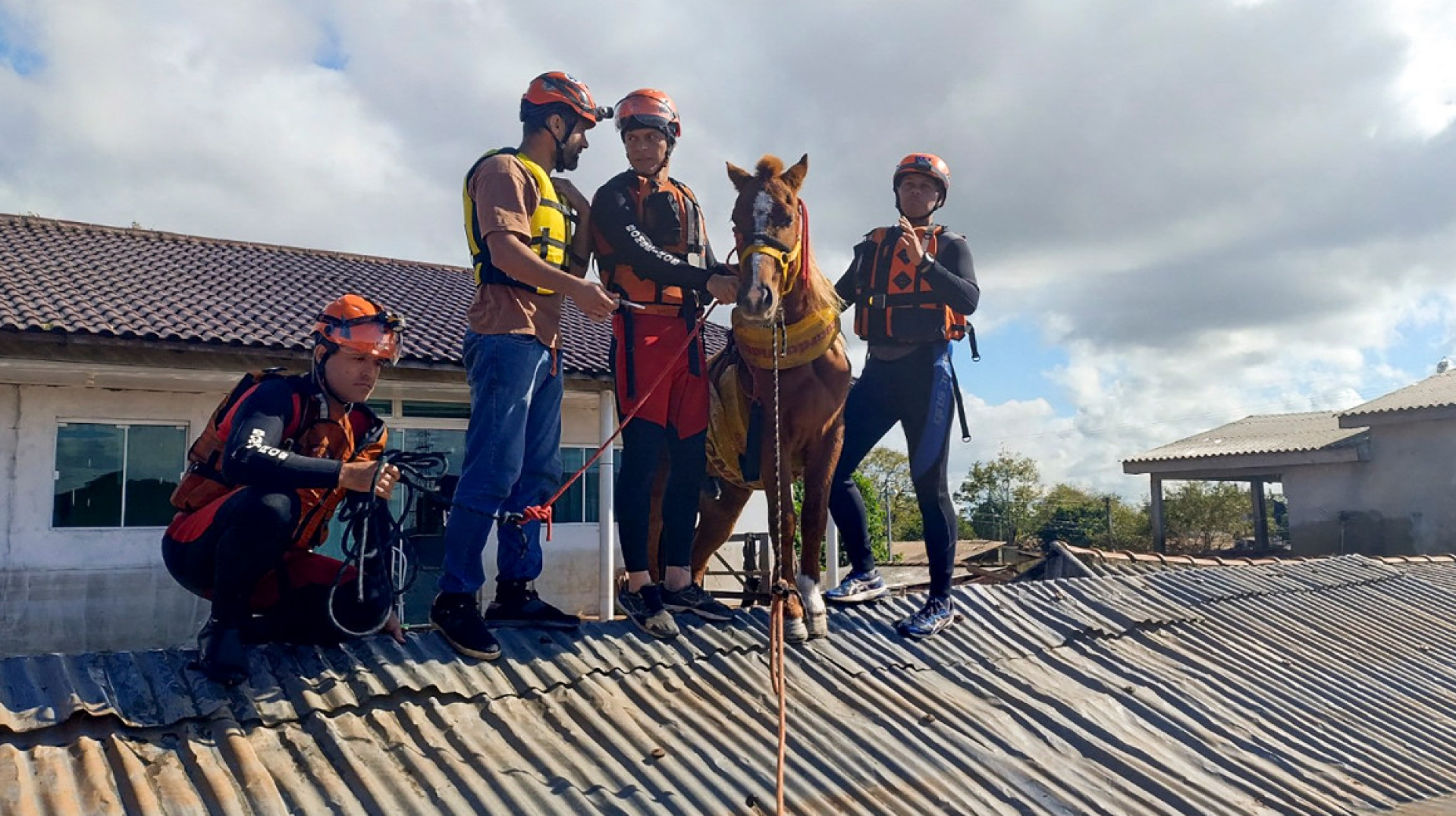 Rescatan a 'Caramelo', un caballo atrapado tras inundacionesen Brasil