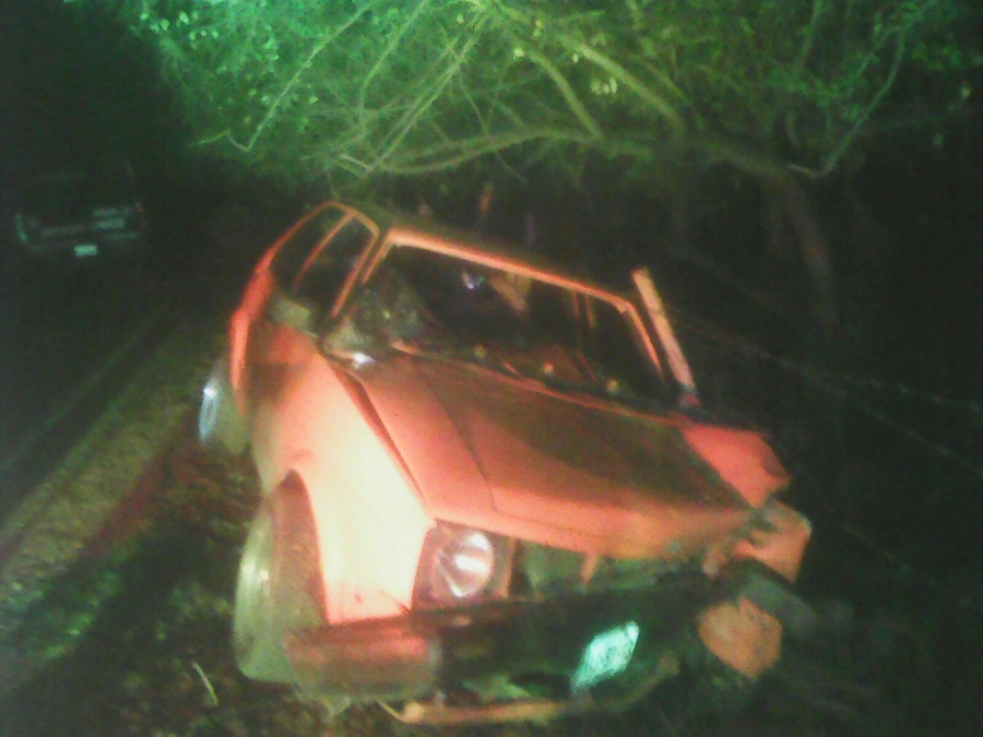 Viajaban en un auto que se cayó a una barranca