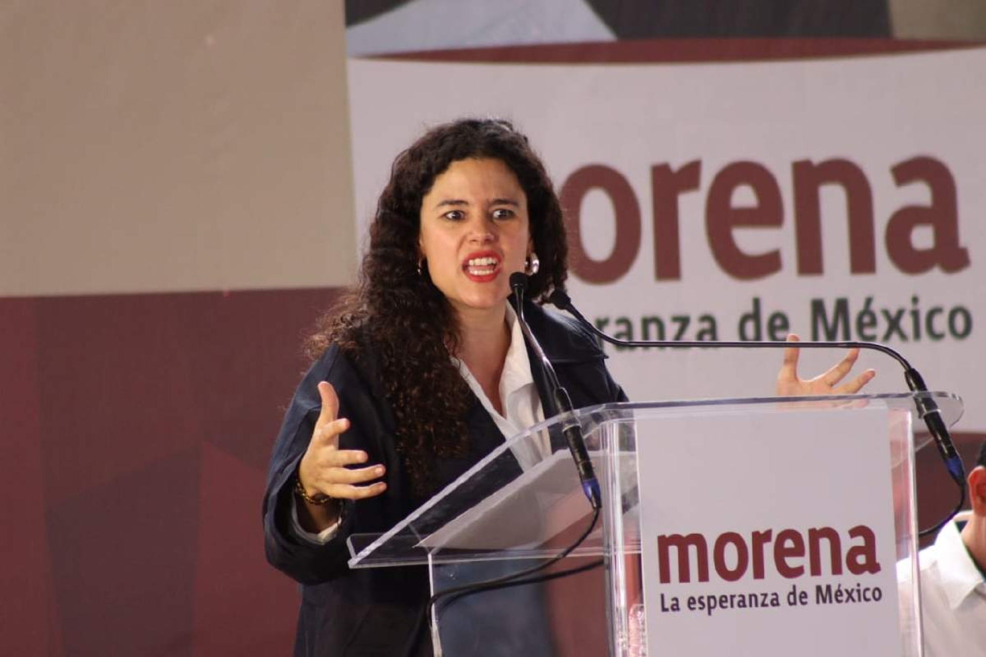 En noviembre, la elección en Morena