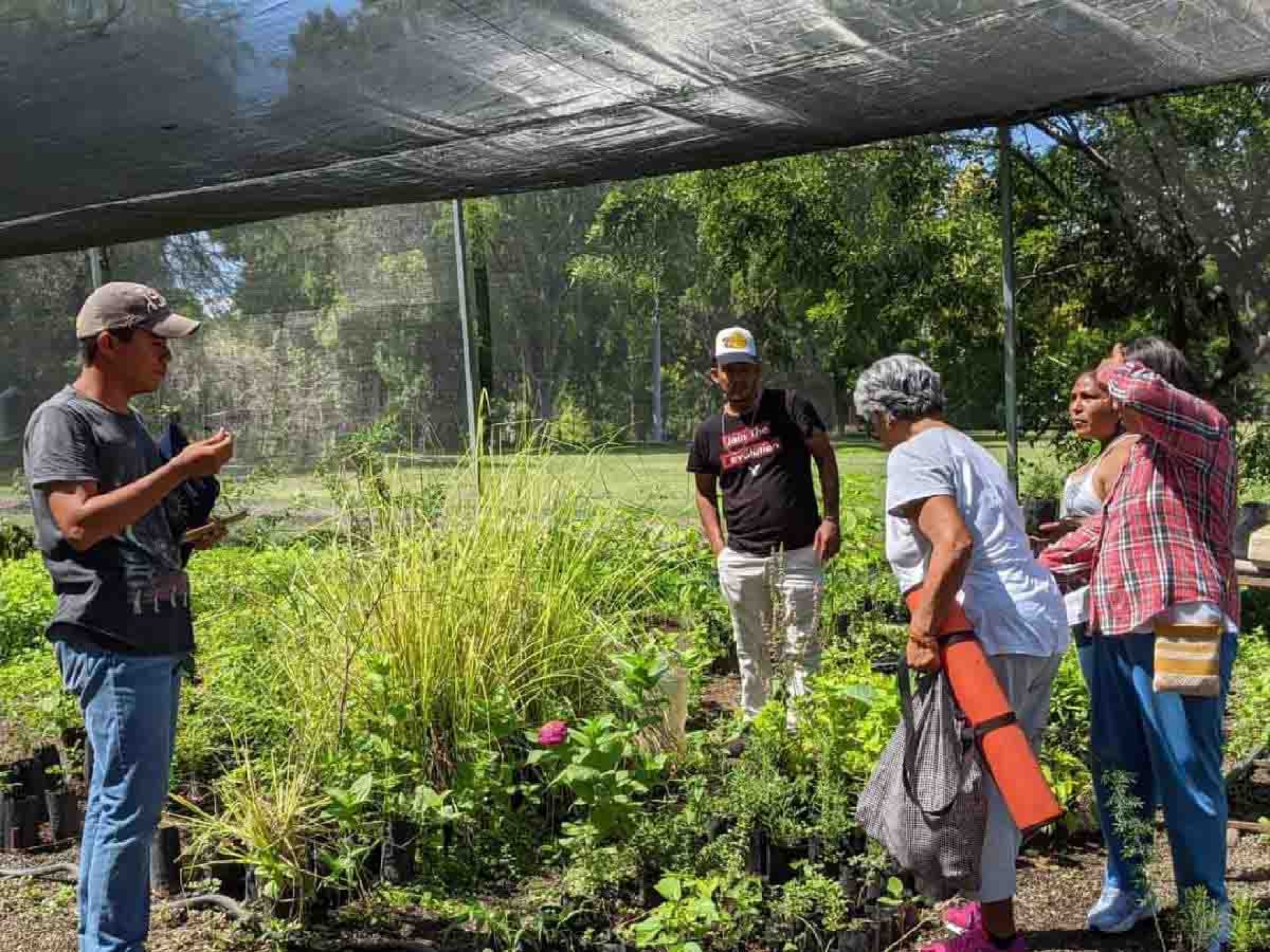 Dona vivero municipal de Mazatepec mil 200 árboles