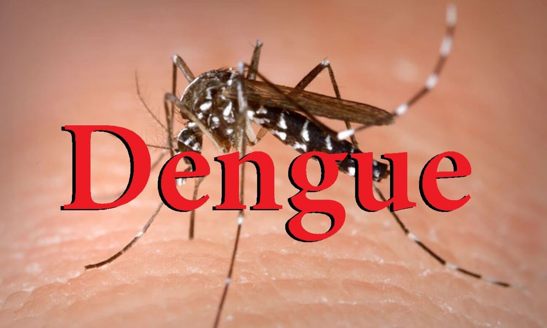 Crecen los casos de dengue grave