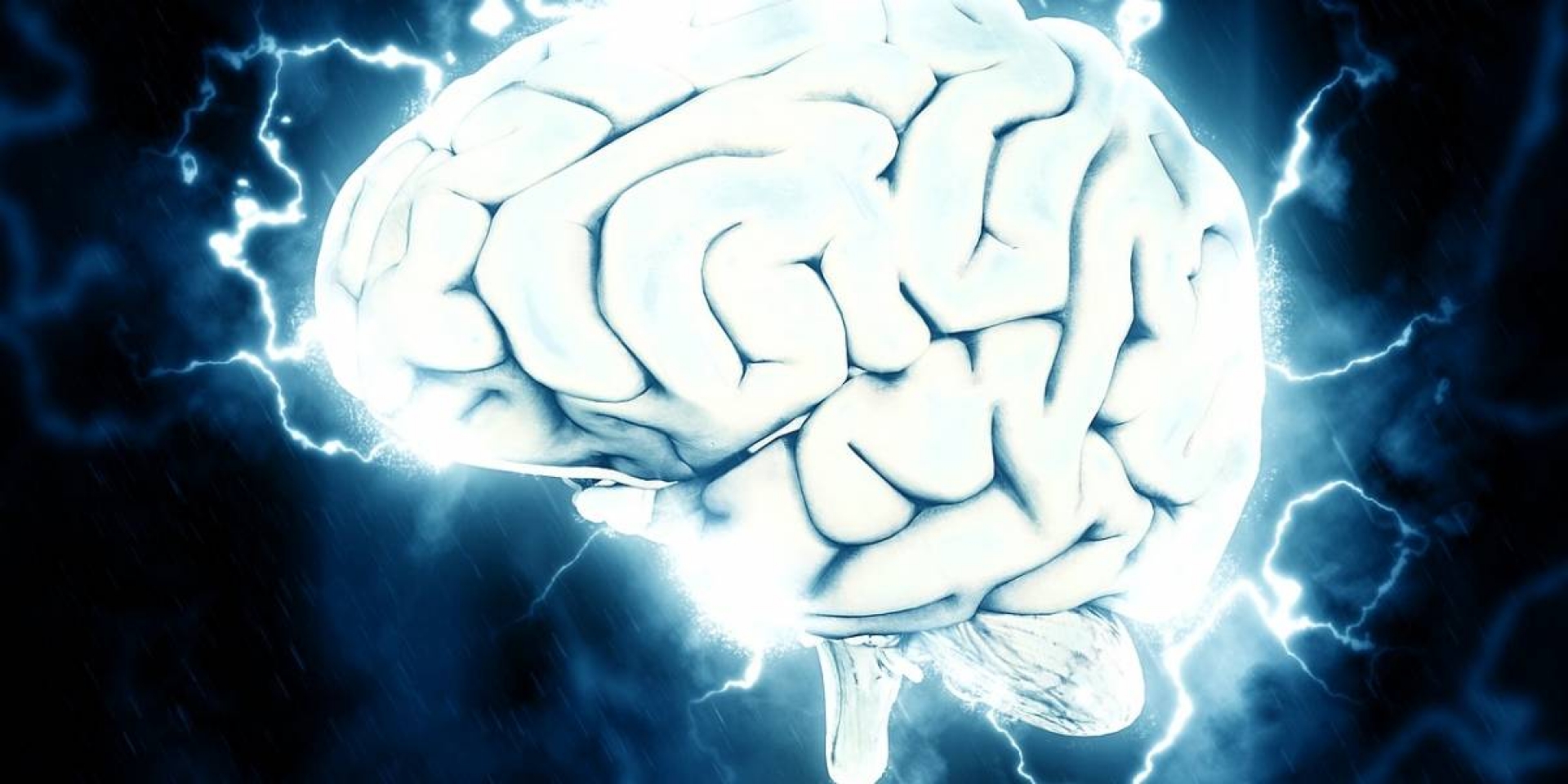 Ciencia: ¿cuál es el verdadero color del cerebro? ¿Rosa o gris?